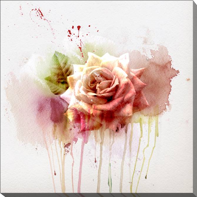 Купить и печать на заказ Картины на холсте Розы акварель