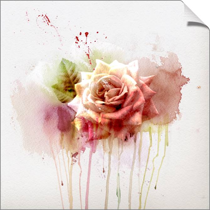 Картины на холсте Roses watercolor