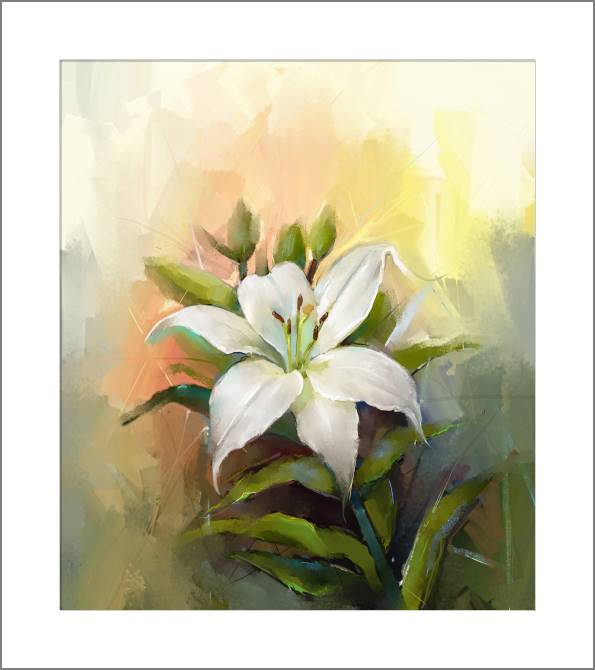 Купить и печать на заказ Картины, фото с паспарту Нежная лилия