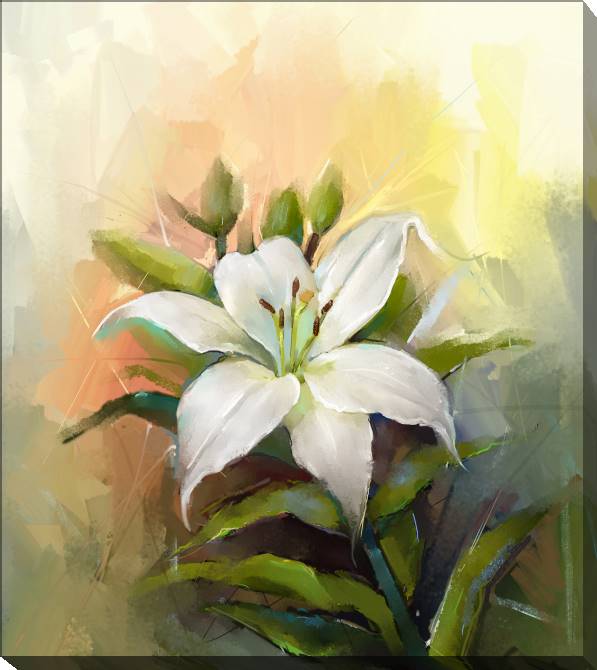 Paintings on canvas Delicate Lily