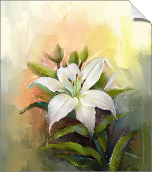 Paintings on canvas Delicate Lily