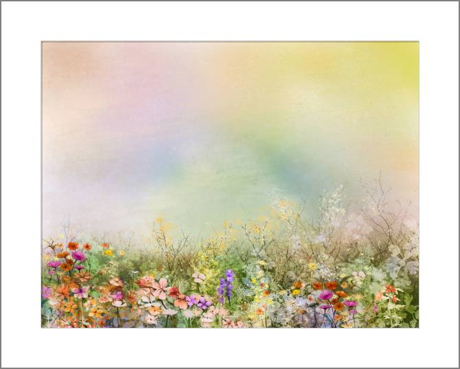 Купить и печать на заказ Картины, фото с паспарту Нежные цветы на разноцветном фоне