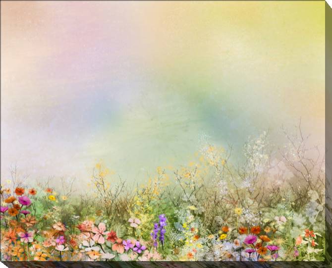 Paintings on canvas Delicate flowers on colourful background