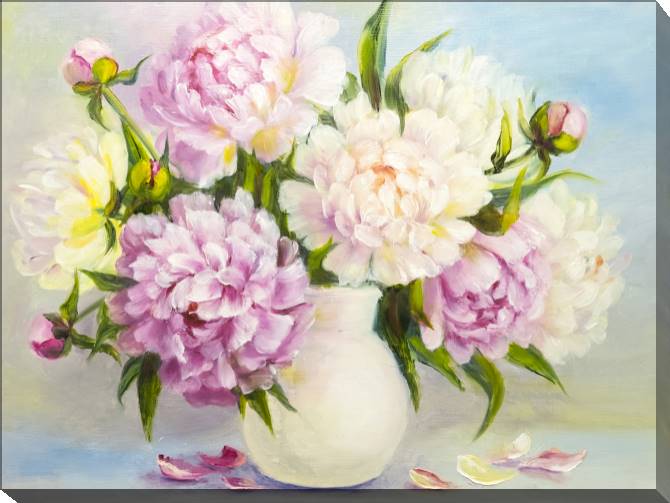 Paintings on canvas Delicate peonies oil