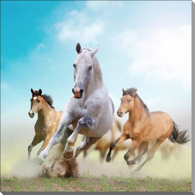Купить и печать на заказ Картины на пластике, пеноркартоне Бегущие лошади