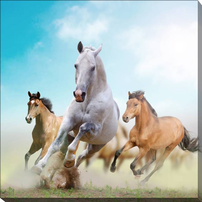 Купить и печать на заказ Картины на холсте Бегущие лошади