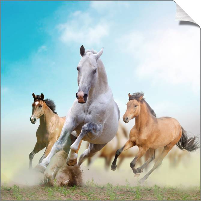 Купить и печать на заказ Картины на холсте Бегущие лошади