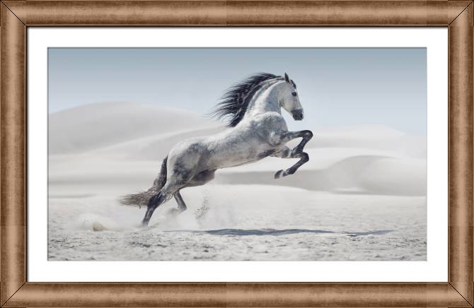 Картины в рамке, багете The grey horse