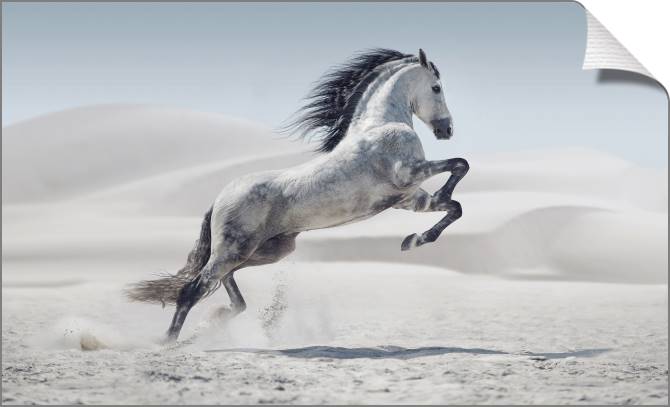 Купить и печать на заказ Картины на холсте Серая лошадь