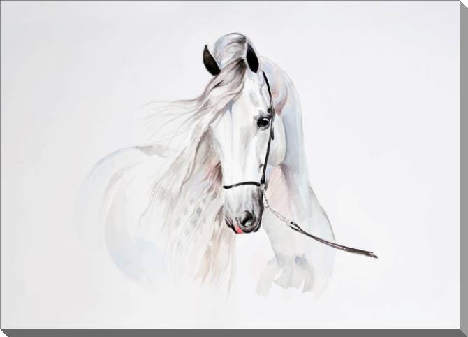 Купить и печать на заказ Картины на пластике, пеноркартоне Белая лошадь иллюстрация