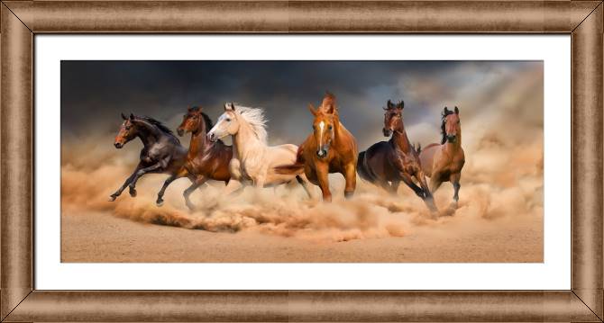 Картины в рамке, багете Mustangs