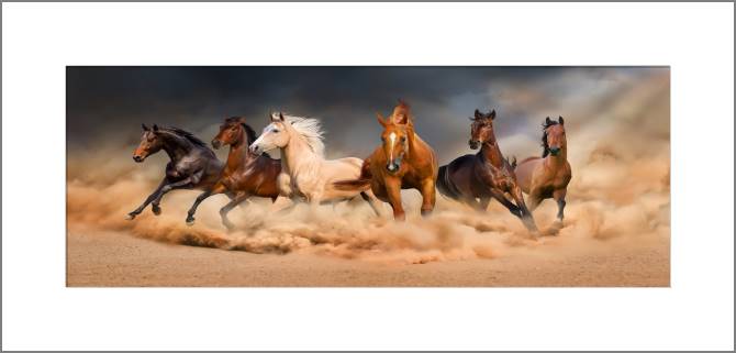 Купить и печать на заказ Картины, фото с паспарту Мустанги