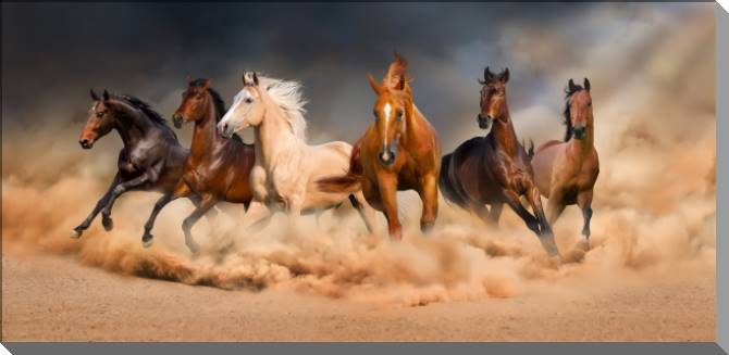 Купить и печать на заказ Картины на пластике, пеноркартоне Мустанги