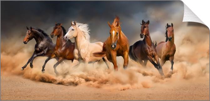 Купить и печать на заказ Картины на холсте Мустанги
