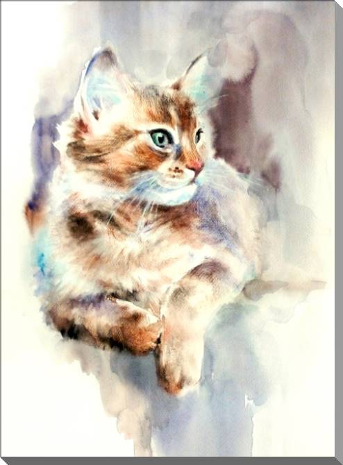 Купить и печать на заказ Картины на пластике, пеноркартоне Кошка акварель