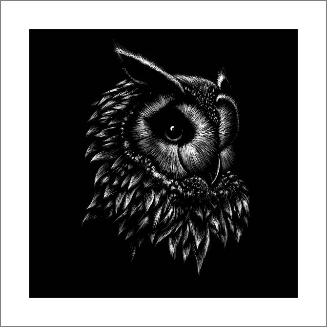 Купить и печать на заказ Картины, фото с паспарту Филин графика