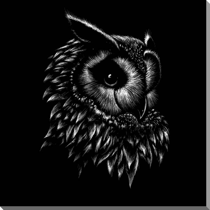 Купить и печать на заказ Картины на пластике, пеноркартоне Филин графика