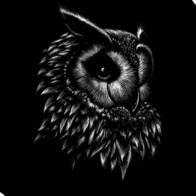 Купить и печать на заказ Картины на холсте Филин графика