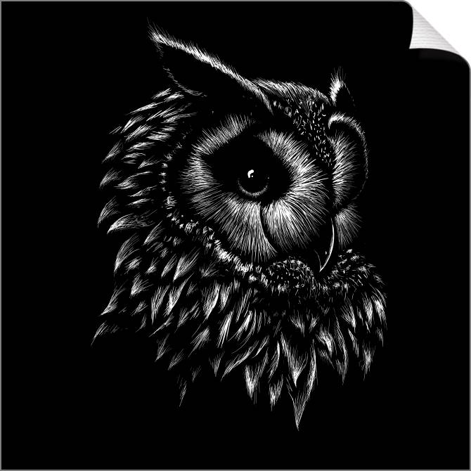Купить и печать на заказ Картины на холсте Филин графика