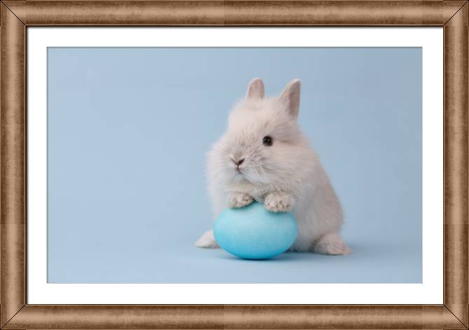 Картины в рамке, багете Cute rabbit with egg