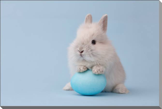 Купить и печать на заказ Картины на пластике, пеноркартоне Милый кролик с яйцом