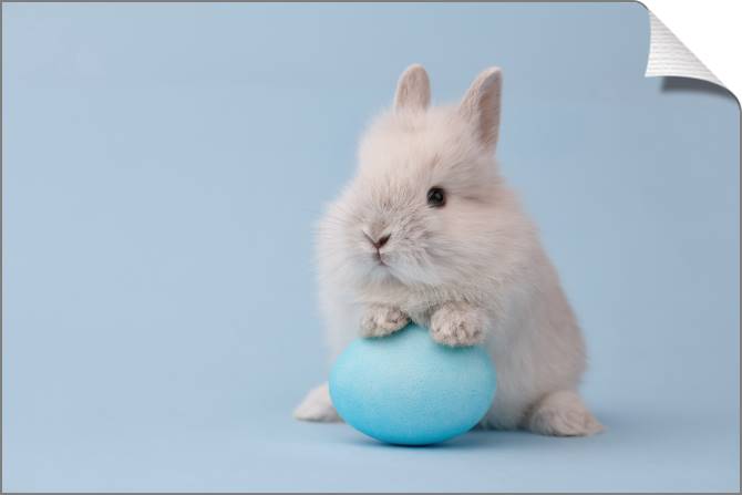 Купить и печать на заказ Картины на холсте Милый кролик с яйцом