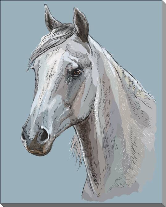 Купить и печать на заказ Картины на пластике, пеноркартоне Лошадь цифровая иллюстрация