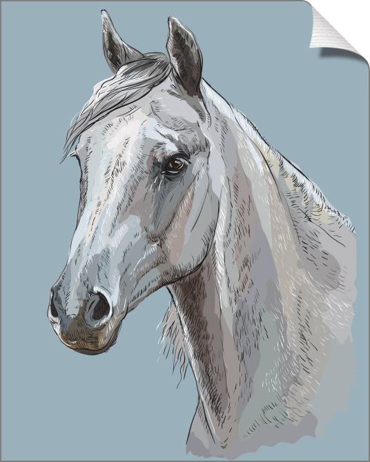 Купить и печать на заказ Картины на холсте Лошадь цифровая иллюстрация
