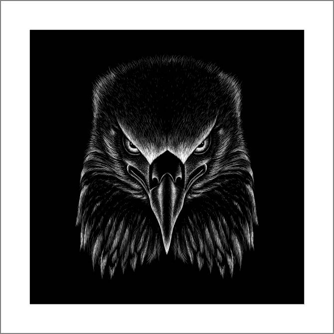 Купить и печать на заказ Картины, фото с паспарту Орел графика