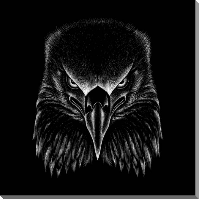 Купить и печать на заказ Картины на пластике, пеноркартоне Орел графика