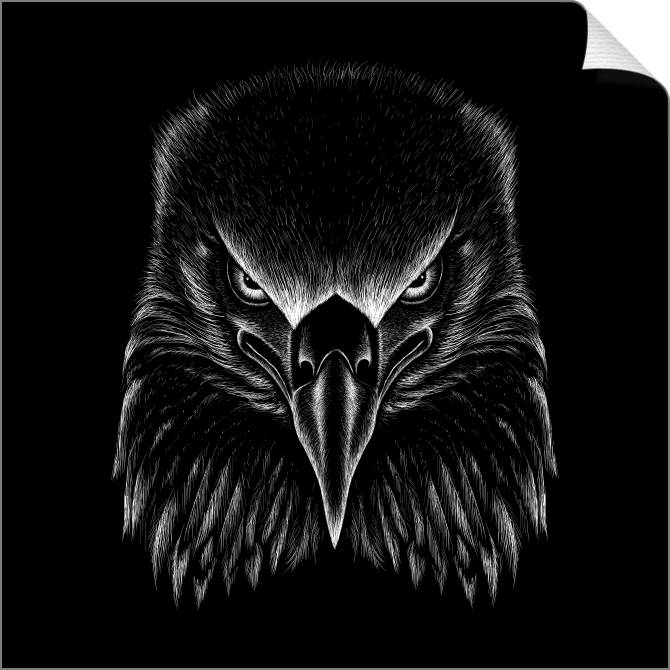 Купить и печать на заказ Картины на холсте Орел графика