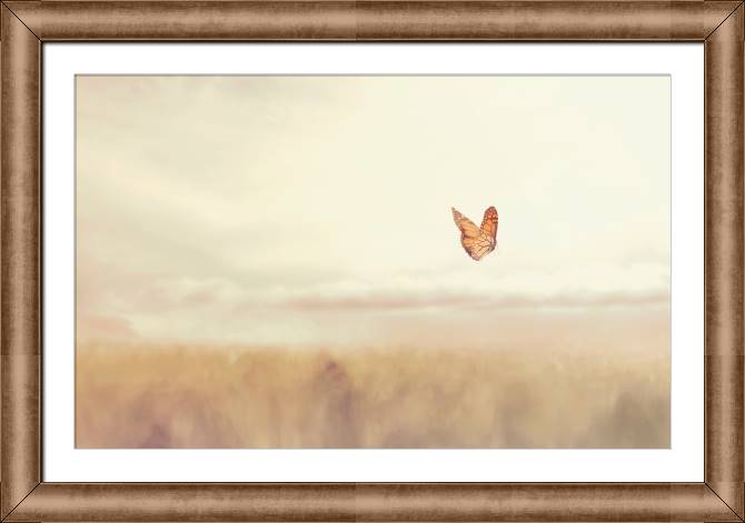 Картины в рамке, багете Butterfly in the field