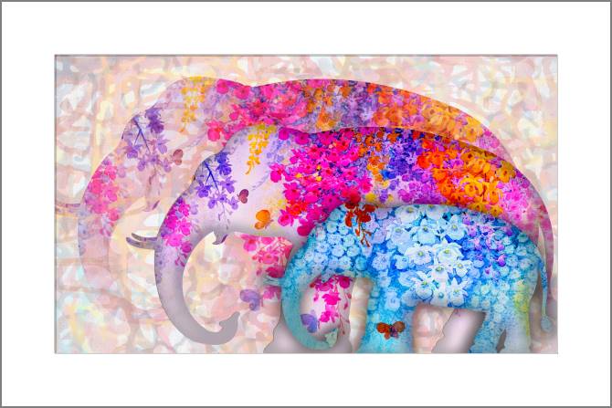 Купить и печать на заказ Картины, фото с паспарту Цветные слоны