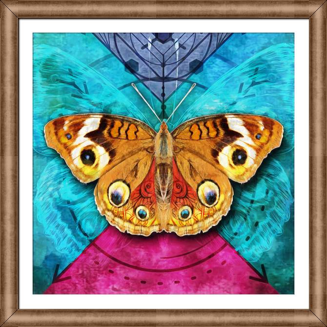 Картины в рамке, багете Butterfly on bright background