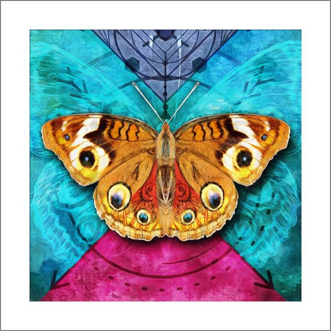 Купить и печать на заказ Картины, фото с паспарту Бабочка на ярком фоне