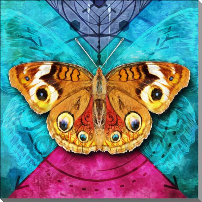 Купить и печать на заказ Картины на пластике, пеноркартоне Бабочка на ярком фоне