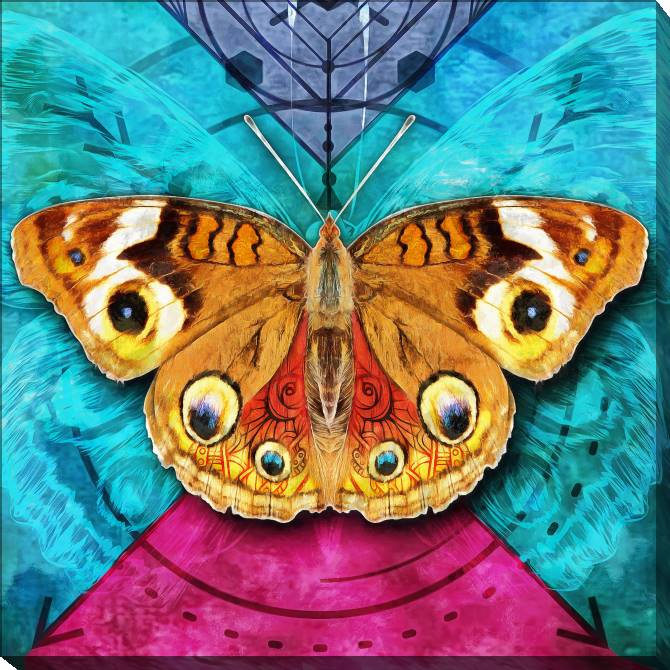 Купить и печать на заказ Картины на холсте Бабочка на ярком фоне