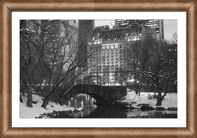 Framed and baguette paintings The Plaza Hotel