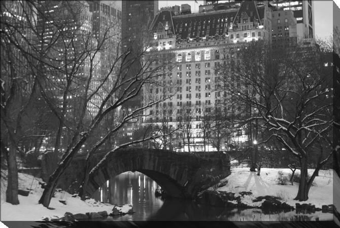 Paintings on canvas The Plaza Hotel