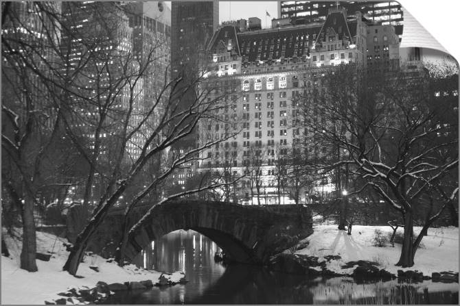 Купить и печать на заказ Картины на холсте Отель Плаза