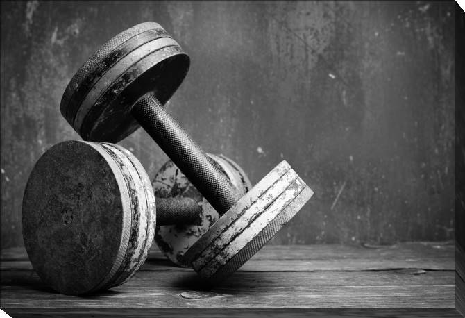 Paintings on canvas Dumbbells