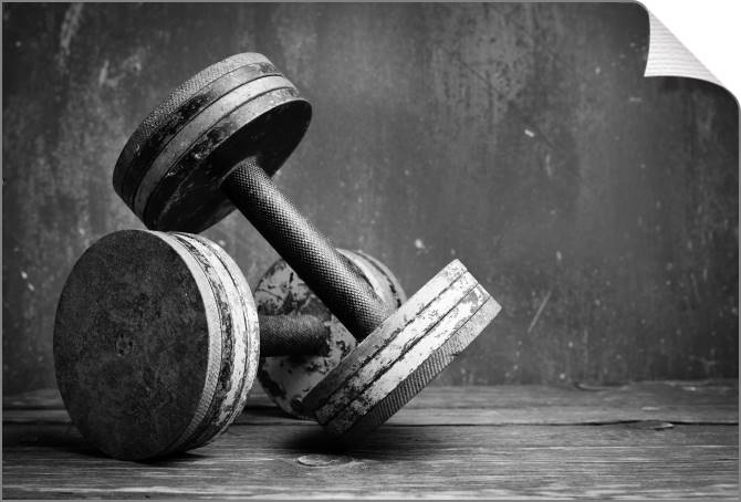 Купить и печать на заказ Картины на холсте Гантели