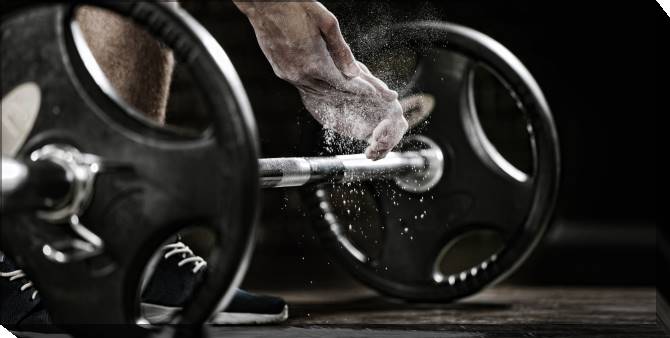 Paintings on canvas Rod