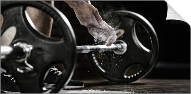 Купить и печать на заказ Картины на холсте Штанга