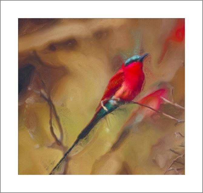 Купить и печать на заказ Картины, фото с паспарту Красная птица