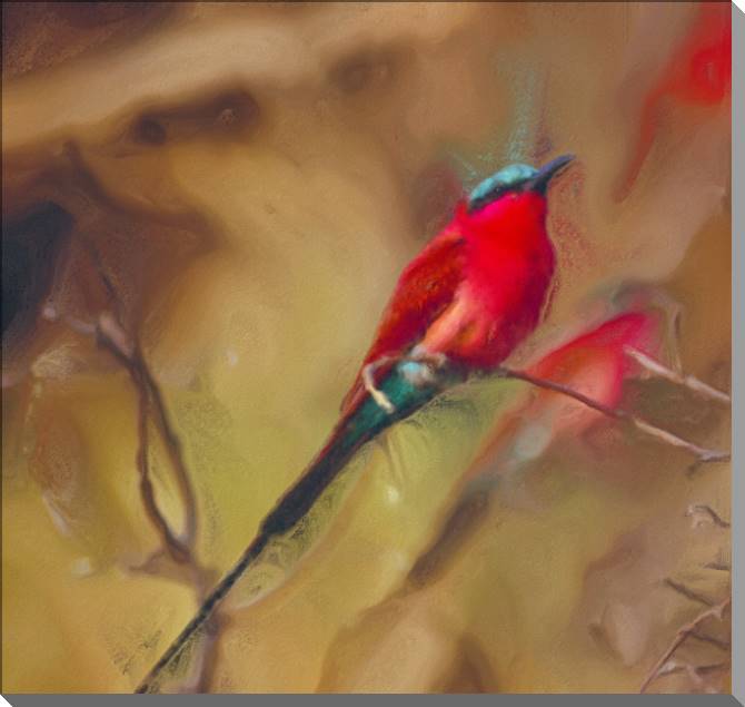 Купить и печать на заказ Картины на пластике, пеноркартоне Красная птица