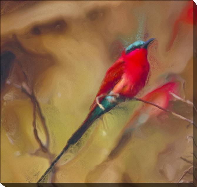 Купить и печать на заказ Картины на холсте Красная птица