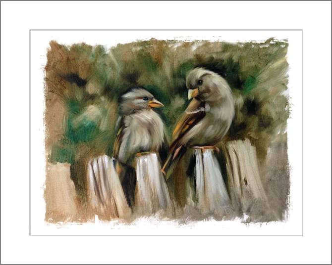 Купить и печать на заказ Картины, фото с паспарту Воробьи на заборе