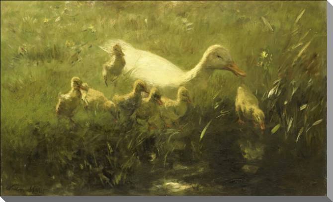 Купить и печать на заказ Картины на пластике, пеноркартоне Белая утка с семью птенцами (Виллем Марис)