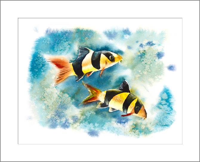 Купить и печать на заказ Картины, фото с паспарту Морская жизнь акварель